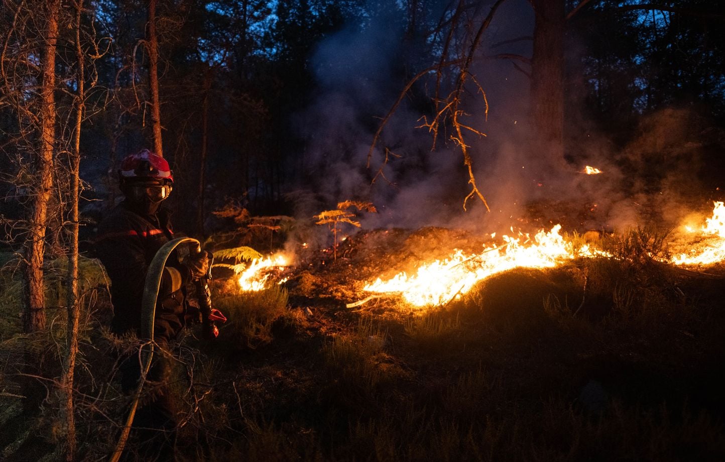 Forêt de Fontainebleau : Incendie principal causé par des travaux, deux ouvriers mis en examen.