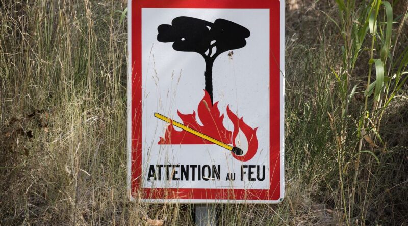 Forêt de Fontainebleau : Pompier volontaire en garde à vue pour avoir « mis le feu à des brindilles »