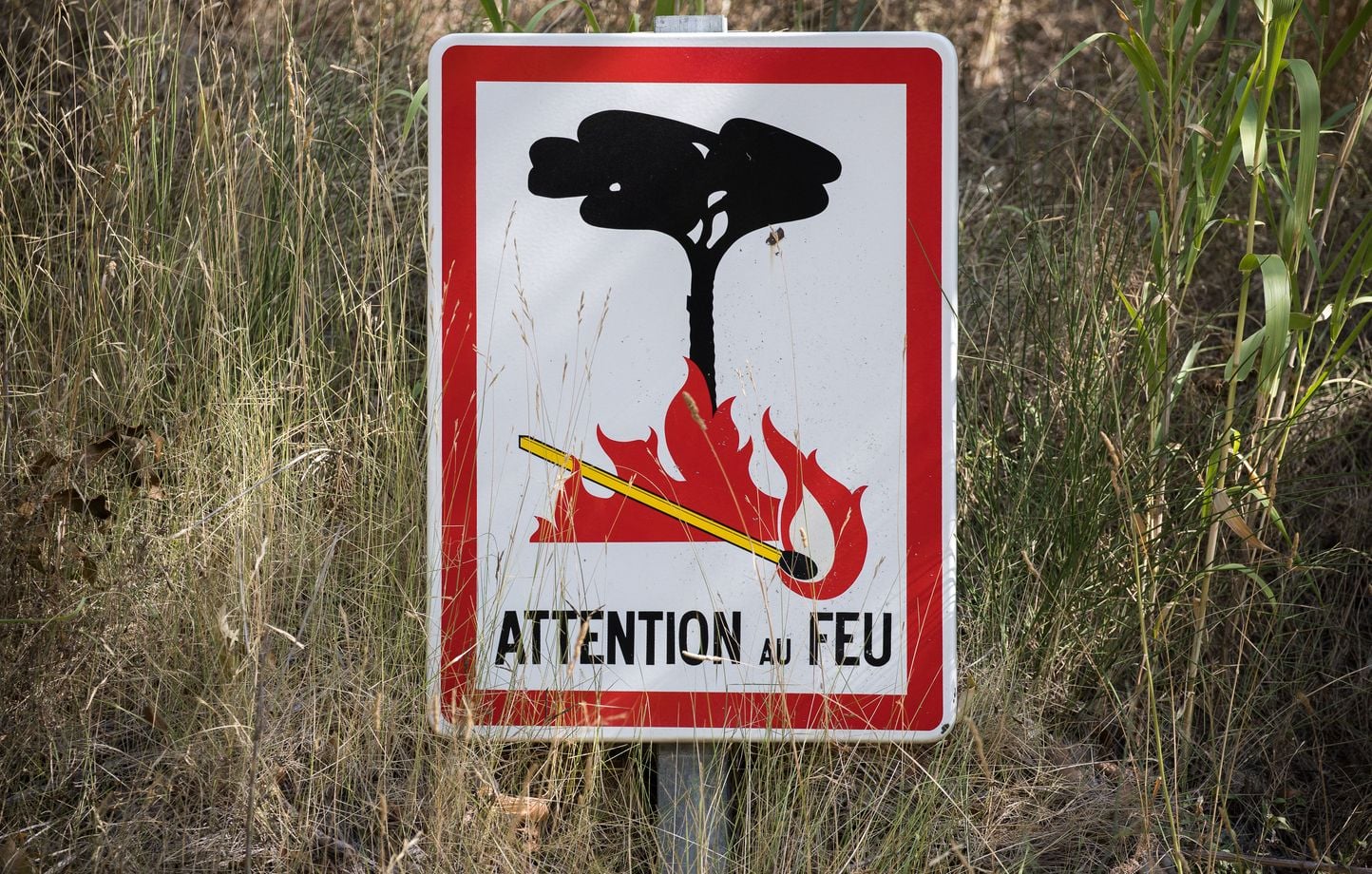 Forêt de Fontainebleau : Pompier volontaire en garde à vue pour avoir « mis le feu à des brindilles »
