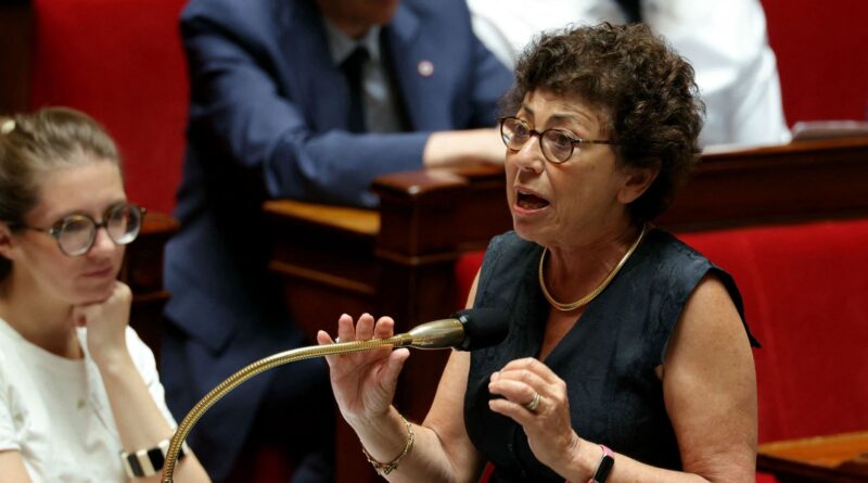 France : la ministre de la Transition écologique démissionne après un vote controversé sur les pesticides