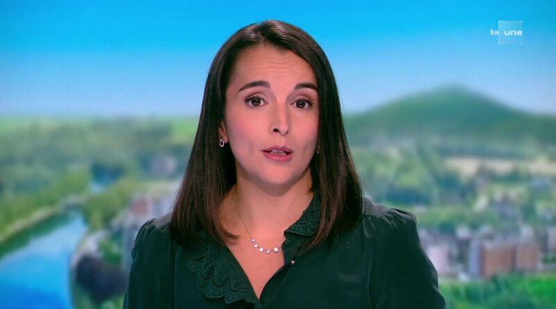 Gouvernement De Wever : décisions sur temps de travail et lois avant l'été