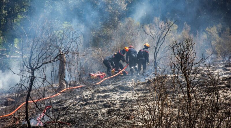 Haute-Corse : Incendies progressent, 400 hectares détruits dans des zones inaccessibles