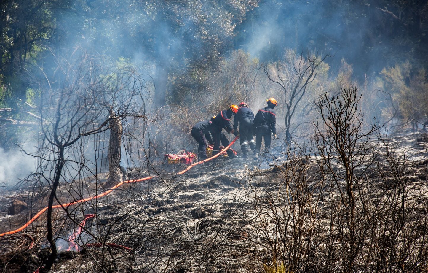 Haute-Corse : Incendies progressent, 400 hectares détruits dans des zones inaccessibles