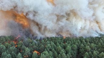 Incendie à Fontainebleau : Le feu ne pourrait-il pas atteindre Paris ?