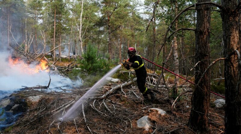 Incendie à Fontainebleau : Les pompiers pyromanes ne jouent-ils pas avec le feu ?