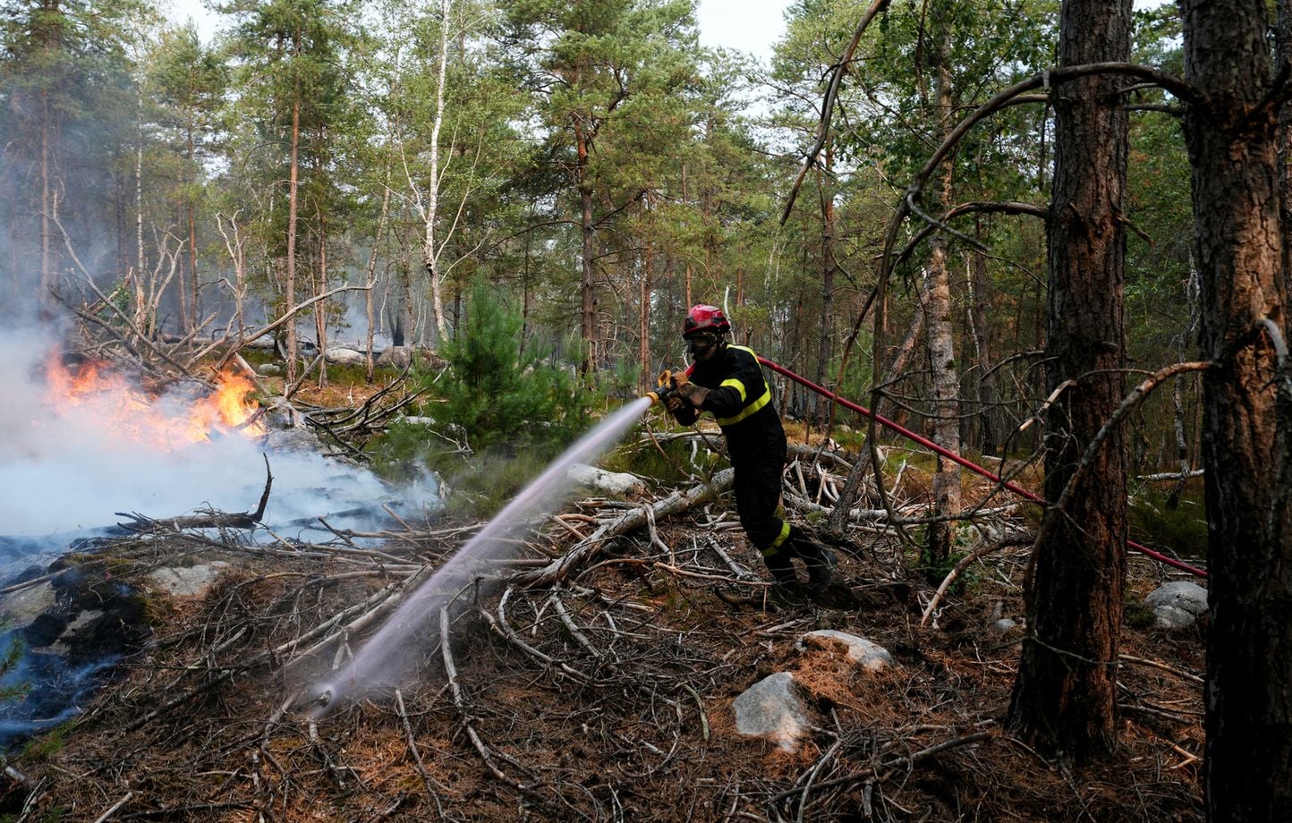 Incendie à Fontainebleau : Les pompiers pyromanes ne jouent-ils pas avec le feu ?