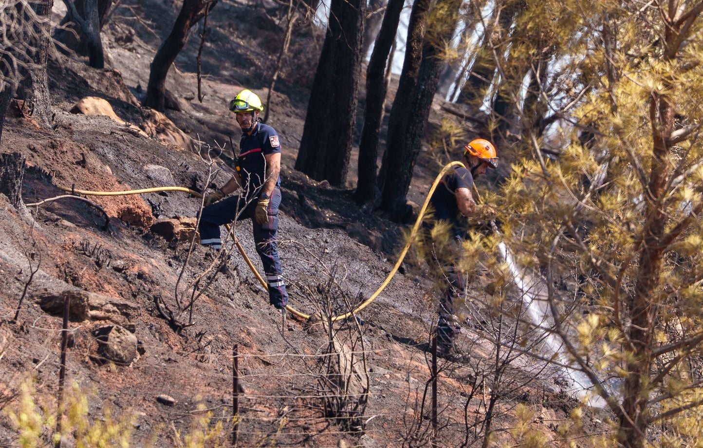 Incendie dans le Var : 2.550 hectares touchés, feu « contenu » malgré « nombreux points chauds »