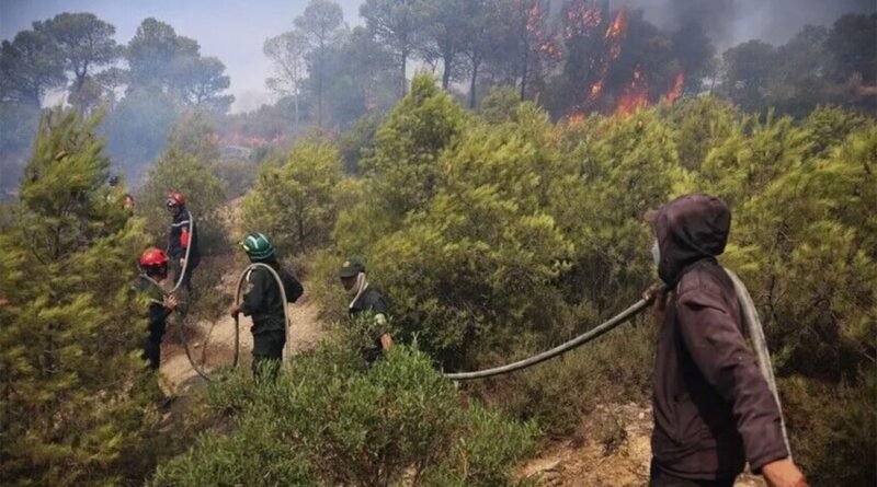 Incendie de forêt à Seraïdi : plus de 100 évacués en Algérie