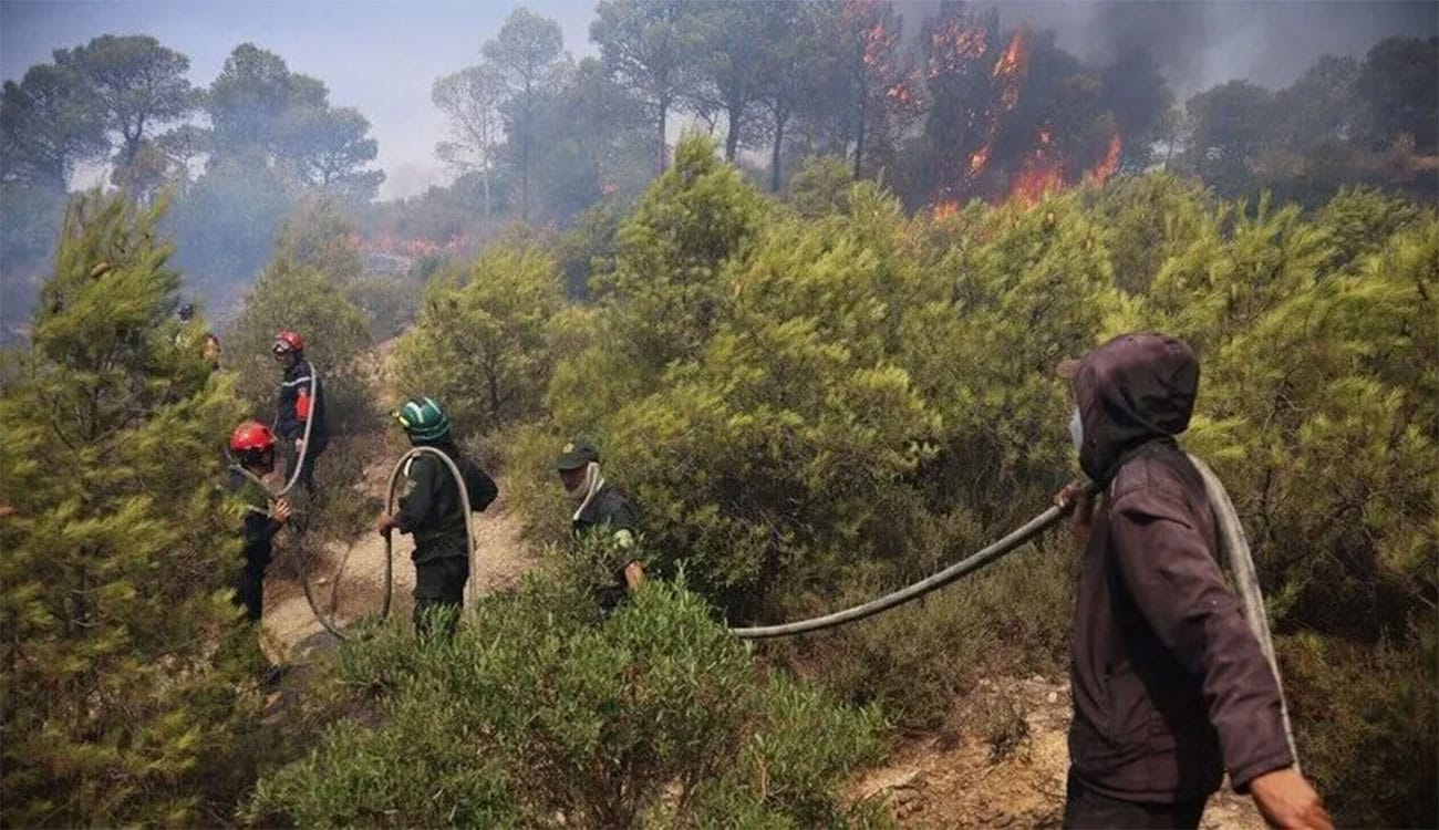 Incendie de forêt à Seraïdi : plus de 100 évacués en Algérie