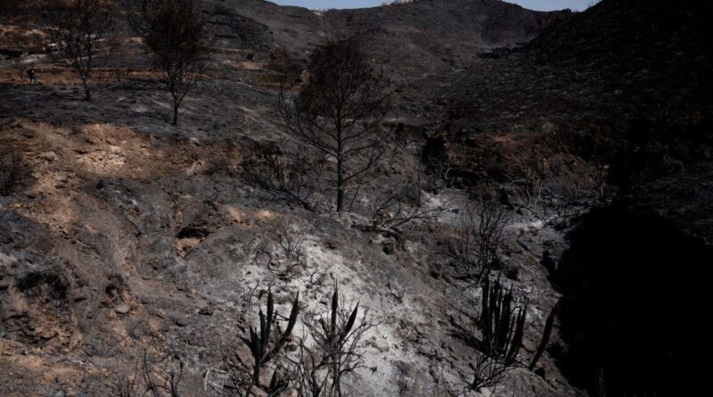 Incendie en Espagne : Une Française parmi les six victimes identifiées