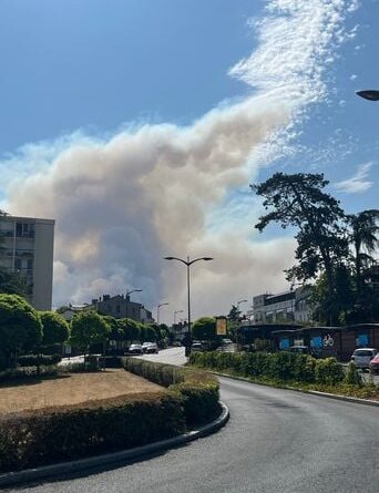 Incendie en forêt de Fontainebleau : les habitants ne paniquent pas.