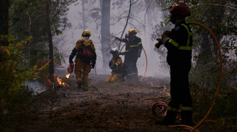 Incendie en France : situation stabilisée à Fontainebleau, moins de pompiers.