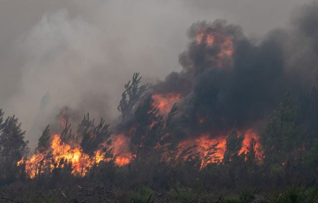 Incendie en Gironde : À l'intérieur du brasier ayant détruit 42.000 hectares