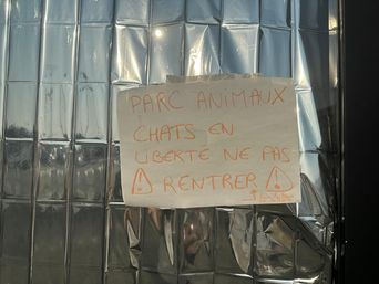 Incendie en Gironde : « Je ne pouvais pas partir sans elle »… Les animaux parmi les réfugiés à Bordeaux