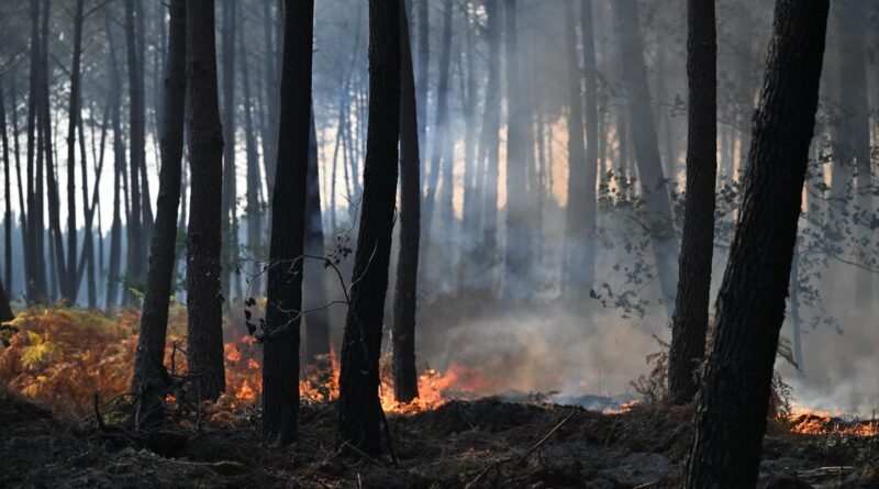 Incendie en Gironde : La justice durcit son approche contre les pyromanes