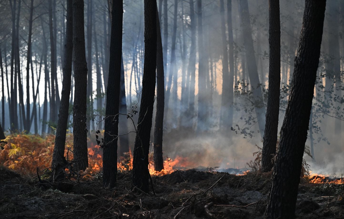 Incendie en Gironde : La justice durcit son approche contre les pyromanes