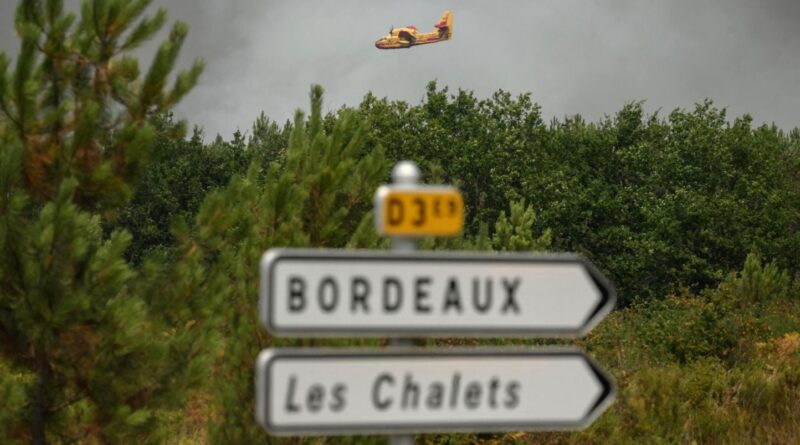 Incendie en Gironde : « Pas de ceintures agricoles autour des villes » pour stopper la propagation du feu