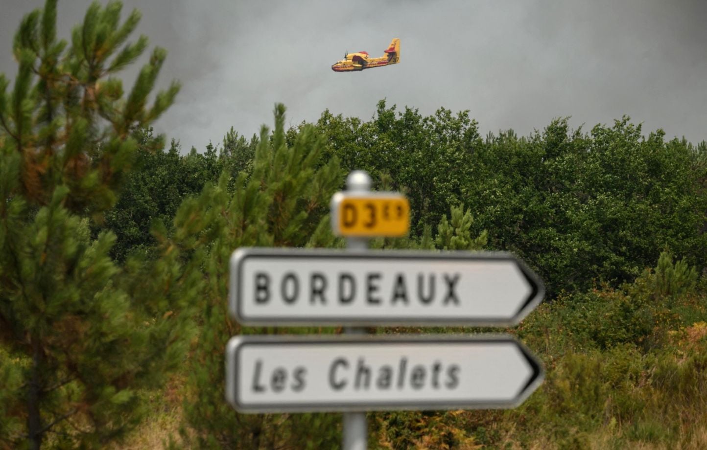 Incendie en Gironde : « Pas de ceintures agricoles autour des villes » pour stopper la propagation du feu