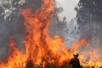 Incendie en Gironde : Qu'est-ce qui rend ce feu unique en France ?