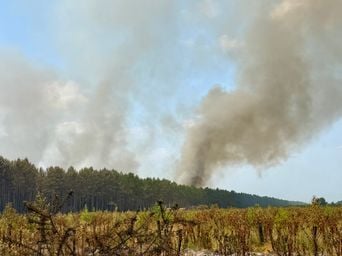 Incendie en Gironde : « Un boxeur à terre doit se relever »