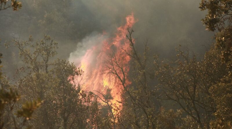 Incendie en Gironde : Un débroussaillage d’Enedis pourrait être à l'origine des flammes