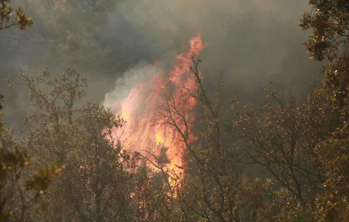 Incendie en Gironde : Un débroussaillage d’Enedis pourrait être à l'origine des flammes