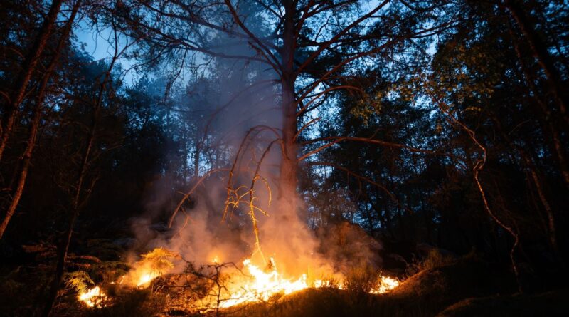Incendies : 27 départements à risque « élevé » de feux de forêts ce lundi.