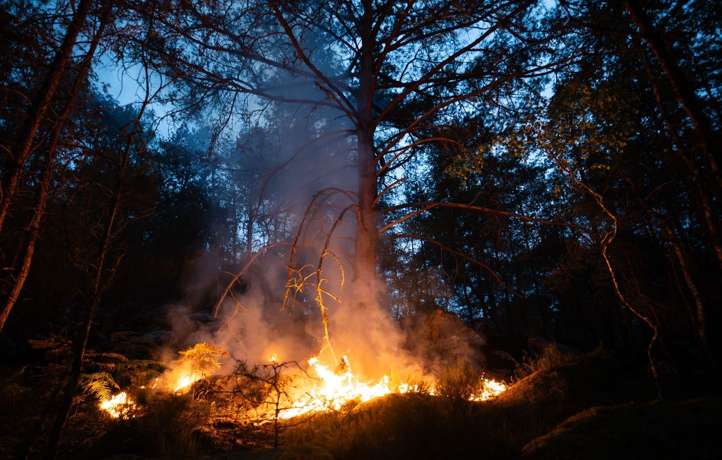Incendies : 27 départements à risque « élevé » de feux de forêts ce lundi.