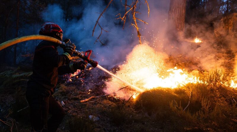 Incendies à Fontainebleau : le feu a repris, mais est « fixé »
