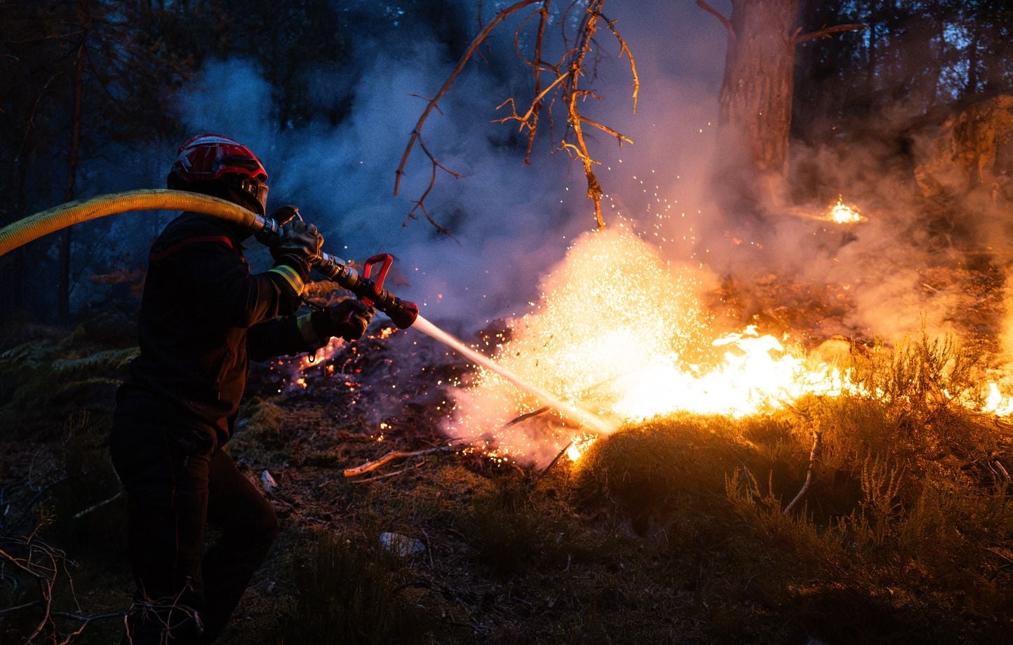 Incendies à Fontainebleau : le feu a repris, mais est « fixé »