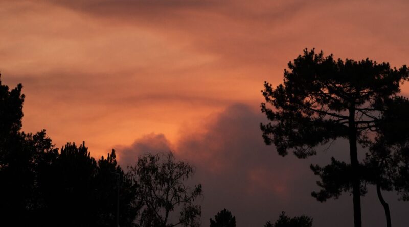 Incendies dans le Sud-Ouest : Origine des pyrocumulonimbus, appelés « orages de feu » ?