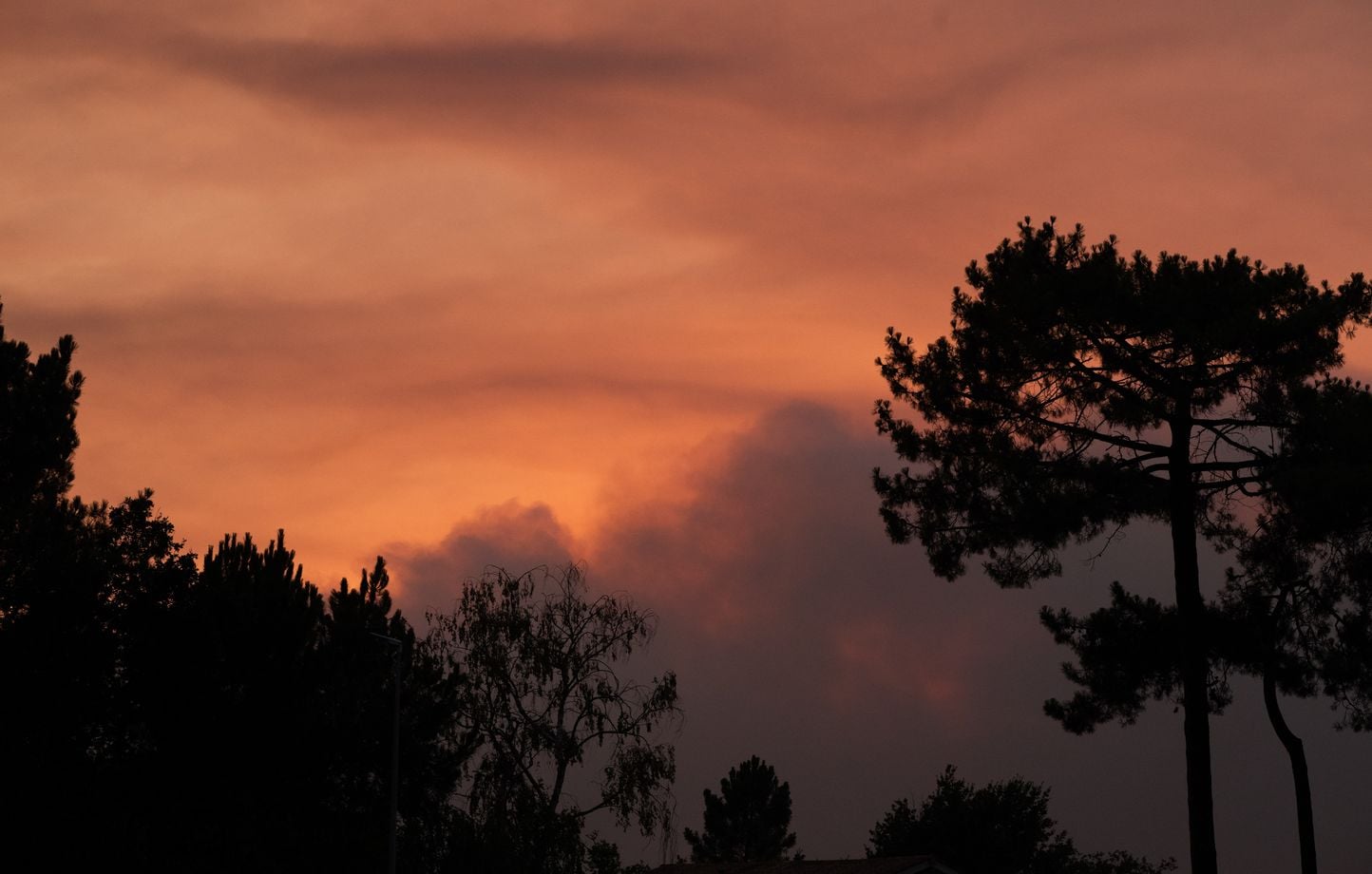 Incendies dans le Sud-Ouest : Origine des pyrocumulonimbus, appelés « orages de feu » ?