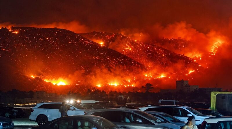 Incendies de forêt à Bizerte : 16 heures de lutte contre les flammes.
