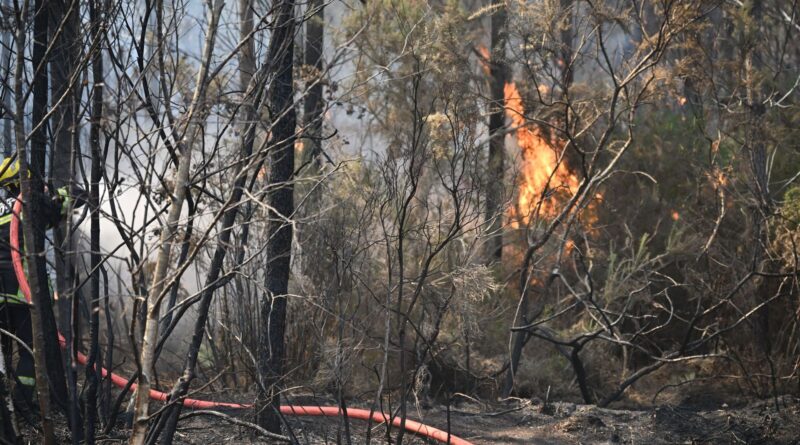 Incendies en Europe : incendie en Gironde stabilisé avant un nouveau pic de chaleur