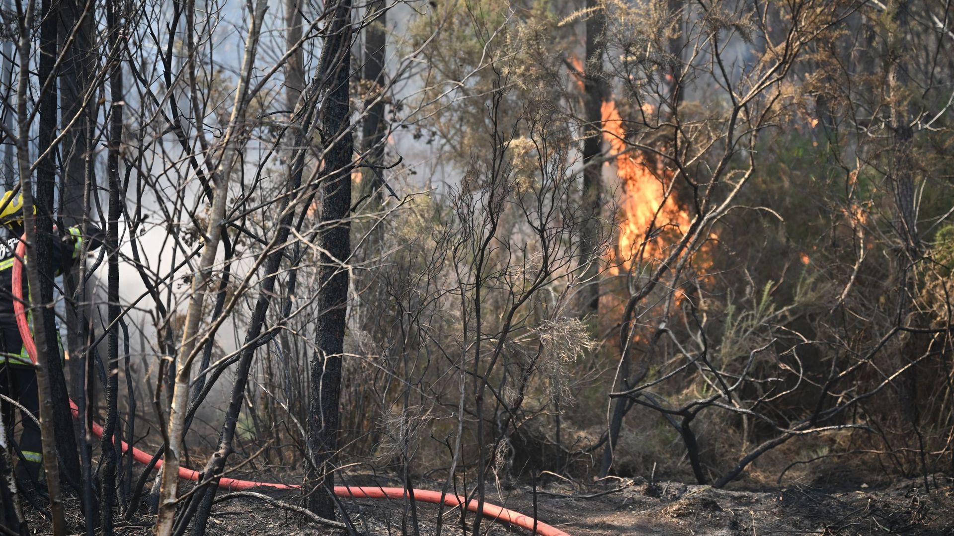 Incendies en Europe : incendie en Gironde stabilisé avant un nouveau pic de chaleur