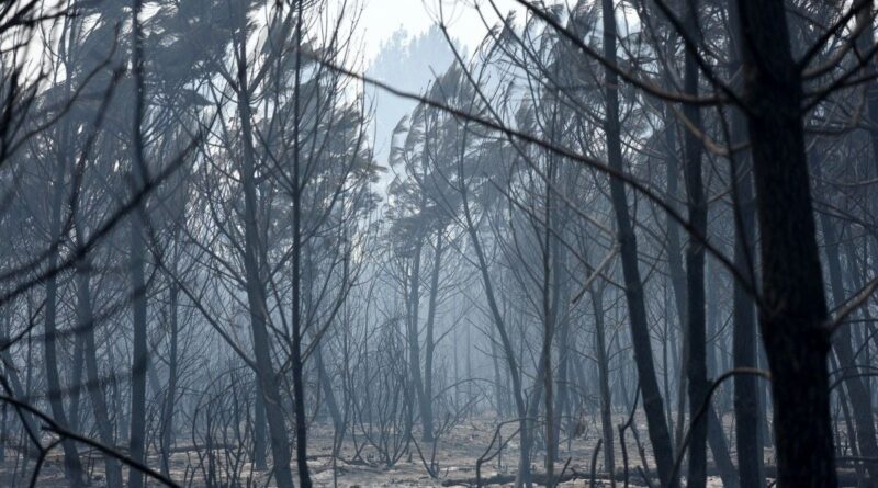 Incendies en Gironde : 35.000 évacués, 18.000 à Biscarrosse, bâtiments touchés.