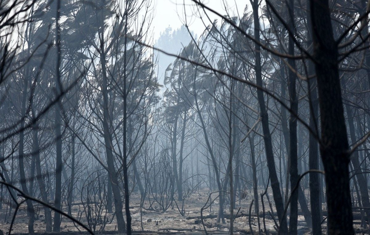 Incendies en Gironde : 35.000 évacués, 18.000 à Biscarrosse, bâtiments touchés.