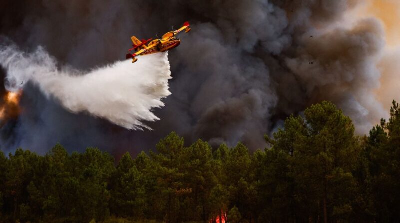 Incendies en Gironde : feu « stabilisé », canicule complique la lutte.