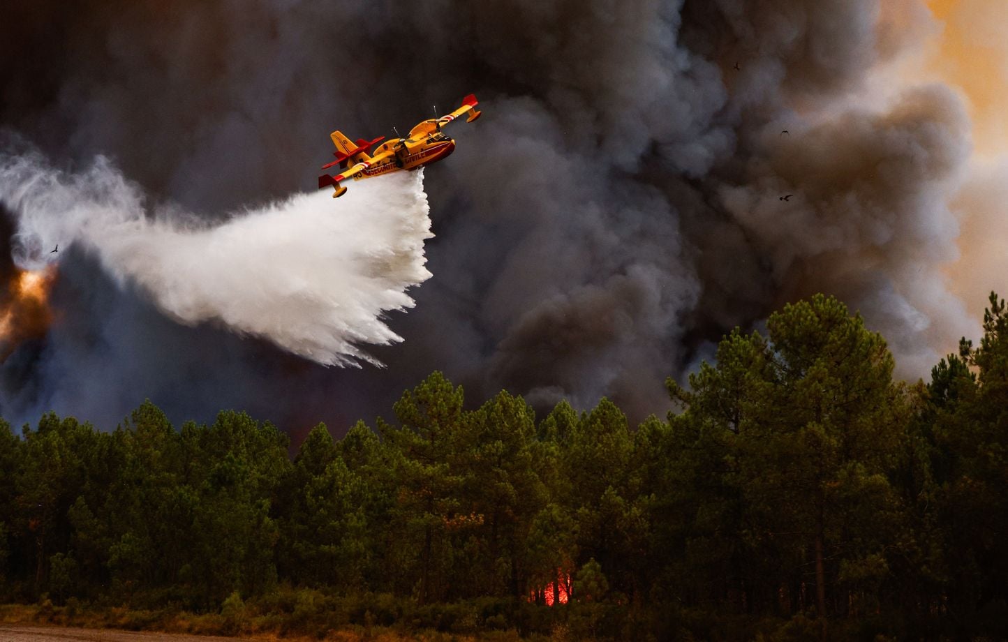 Incendies en Gironde : feu « stabilisé », canicule complique la lutte.