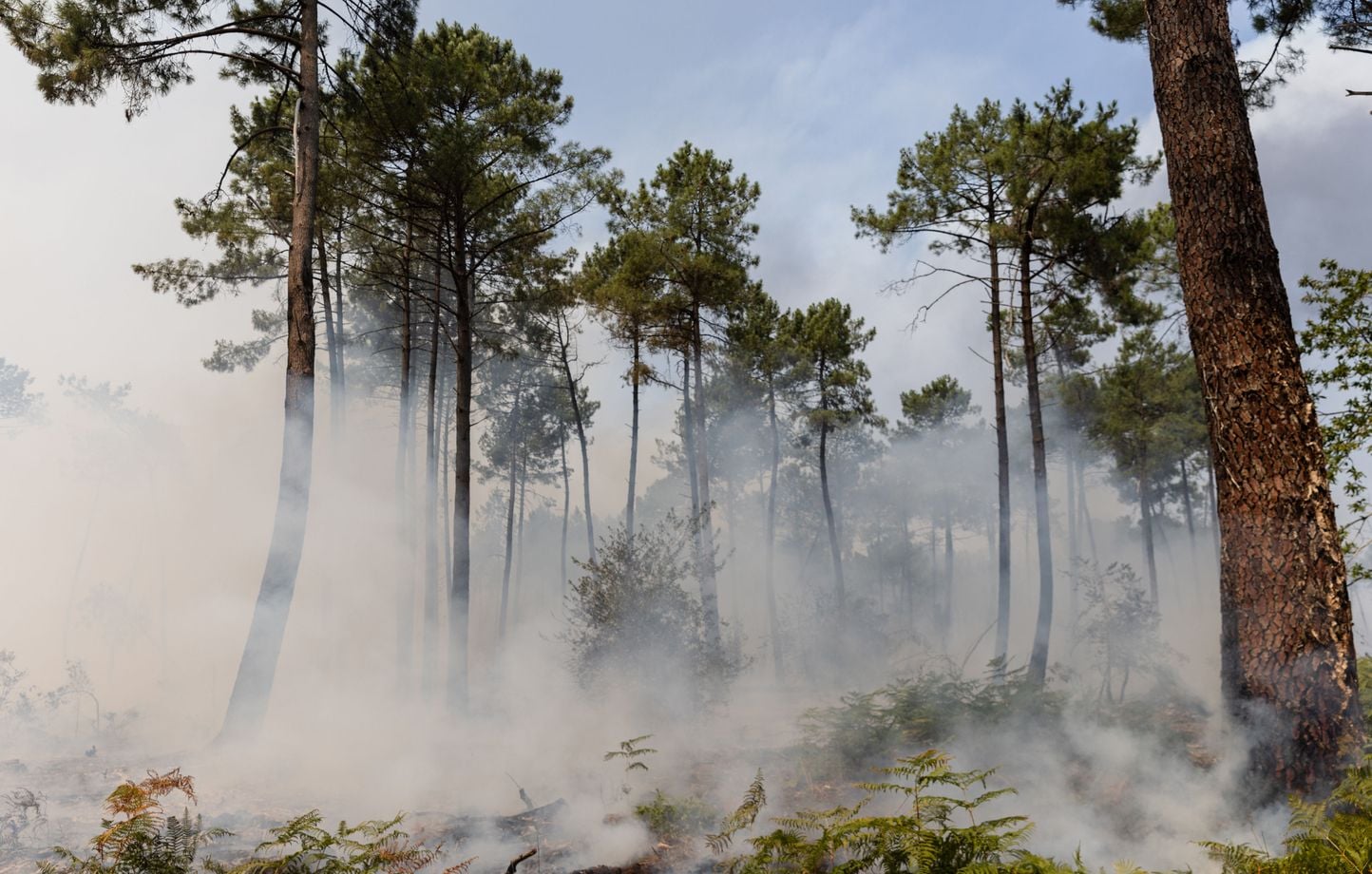 Incendies en Gironde : Nouvelles interpellations après cigarette et feu d’artifice.