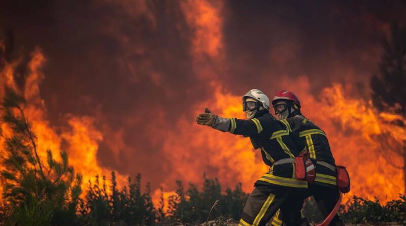 Incendies : Identification des pyromanes et de leurs motivations.