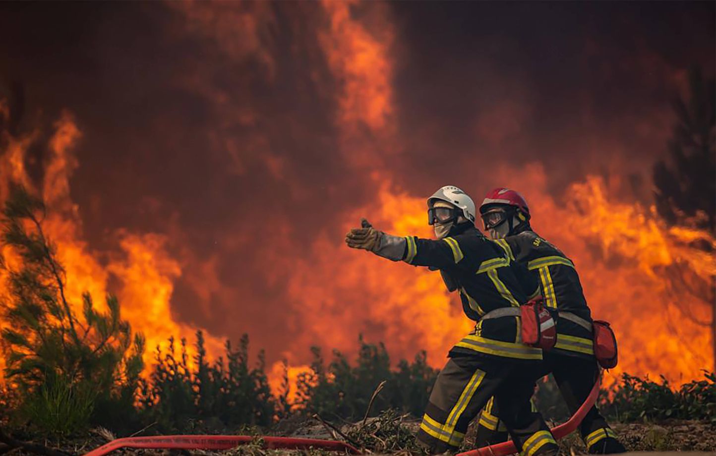 Incendies : Identification des pyromanes et de leurs motivations.