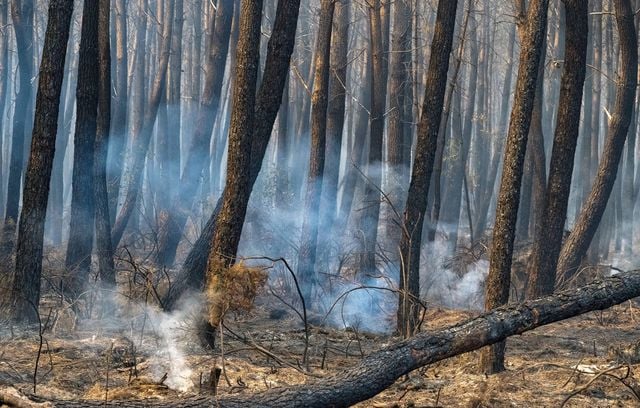 Incendies menaçants : images du Cap-Ferret et de Biscarrosse
