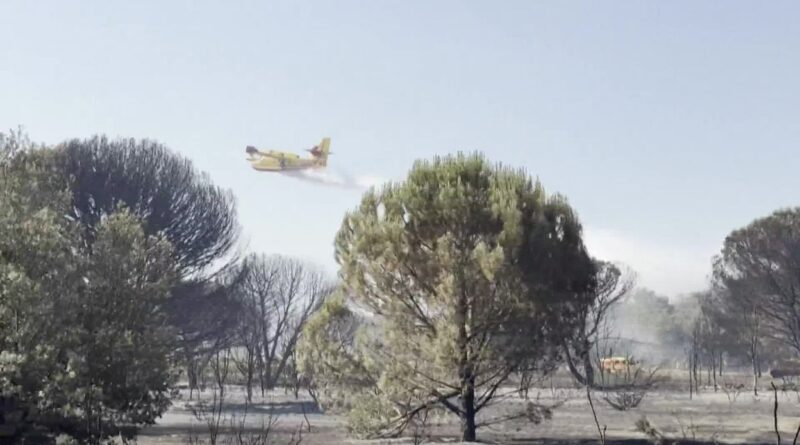 Incendies : pourquoi choisir des avions européens au lieu des Canadairs ?