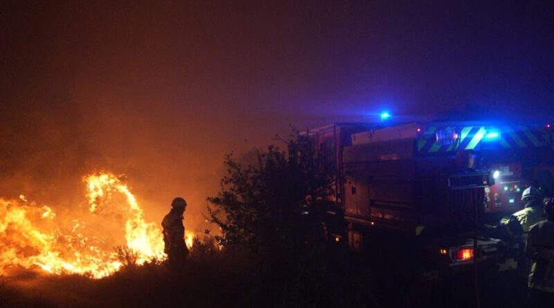 Incendies ravageurs, Bruel toujours accusé, Algérie éliminée : l'info en 2 minutes