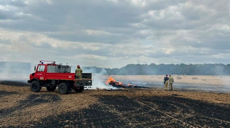 Incendies répétés de ballots et champs moissonnés dans l'est du Brabant wallon : enquête des pompiers sur l'origine des feux.