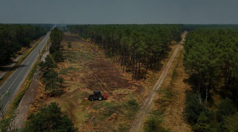 Incendies : Utilité des pare-feu forestiers construits rapidement contre les flammes ?