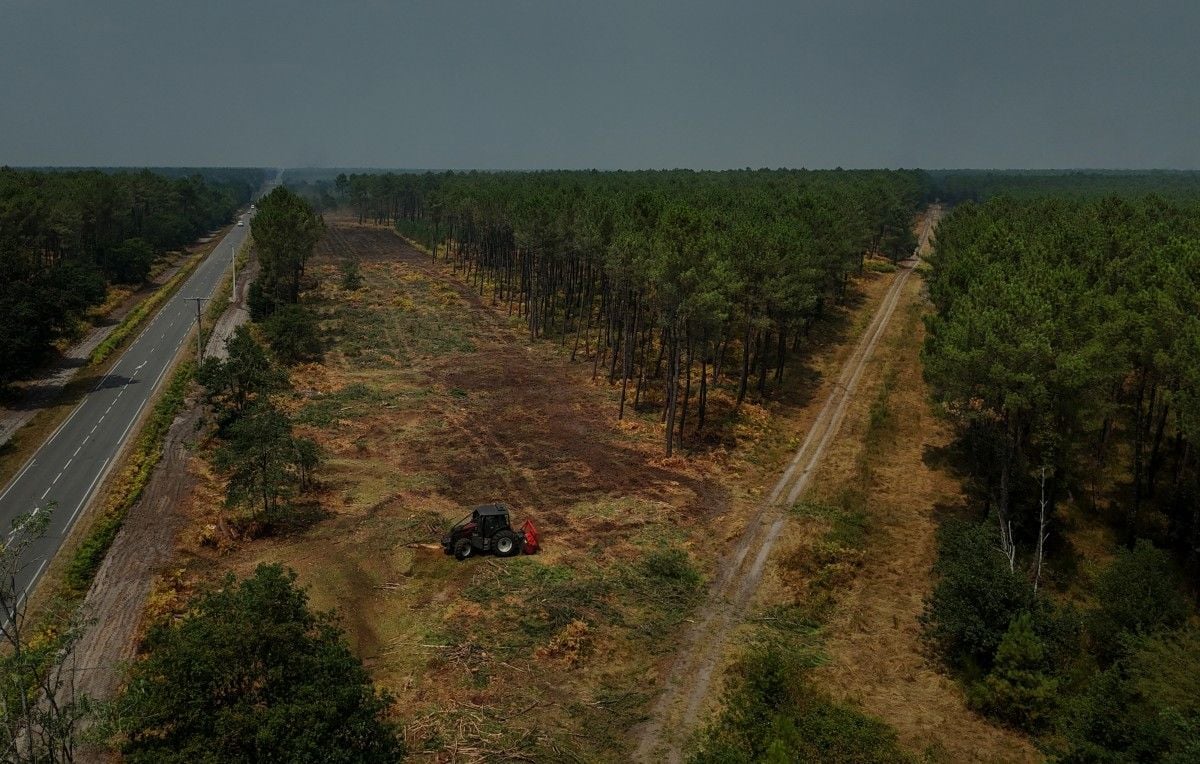 Incendies : Utilité des pare-feu forestiers construits rapidement contre les flammes ?