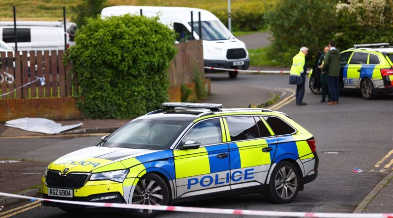 Irlande : Une femme accusée après la découverte d'une bombe dans sa voiture