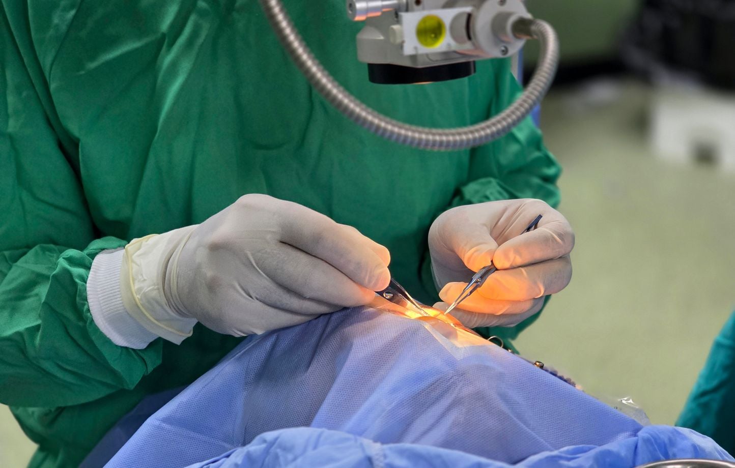 Italie : Une greffe inédite de rétine redonne la vue à une femme aveugle